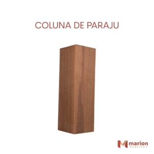 Coluna de paraju