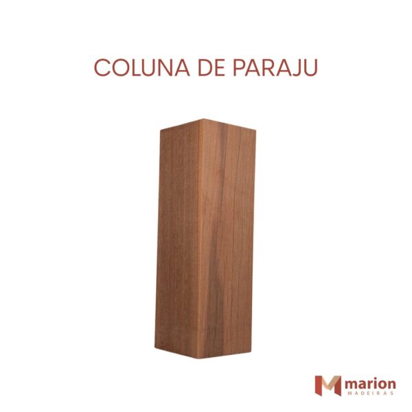 Coluna de paraju